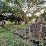 Playa Marsella Commercial Opportunity