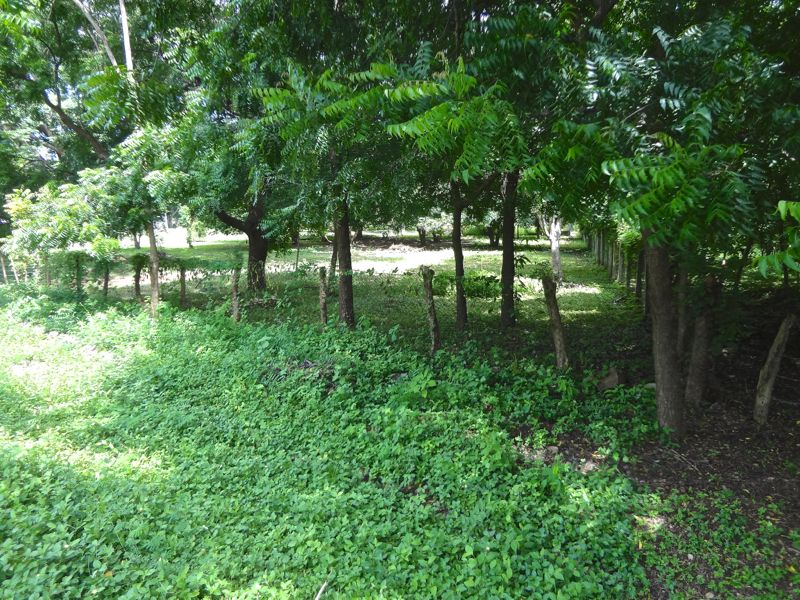 DSC00426 2
