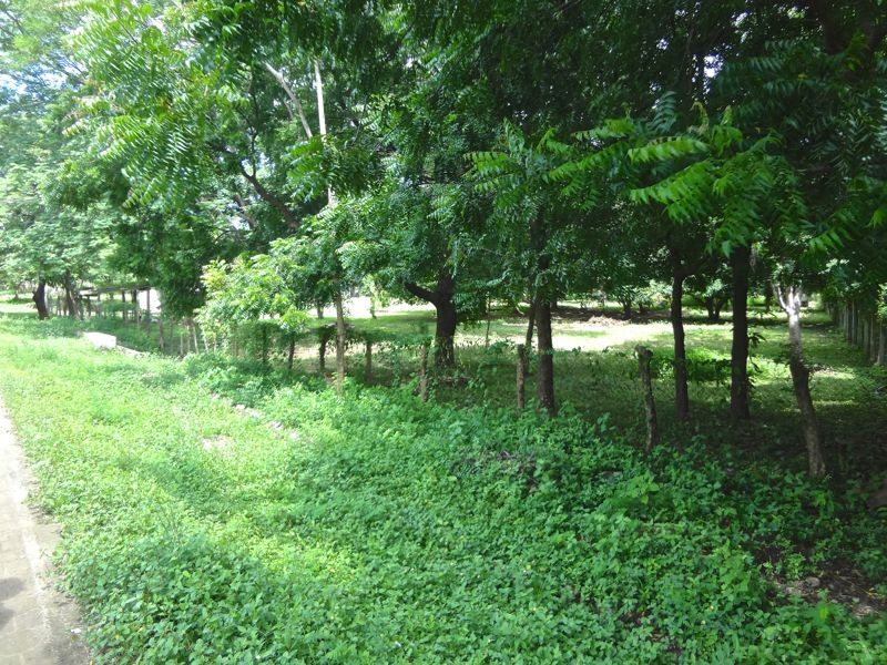 DSC00427