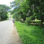 DSC00428