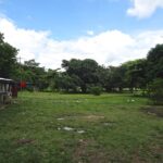 DSC00430