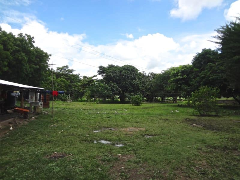 DSC00430