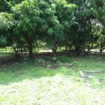 DSC00431