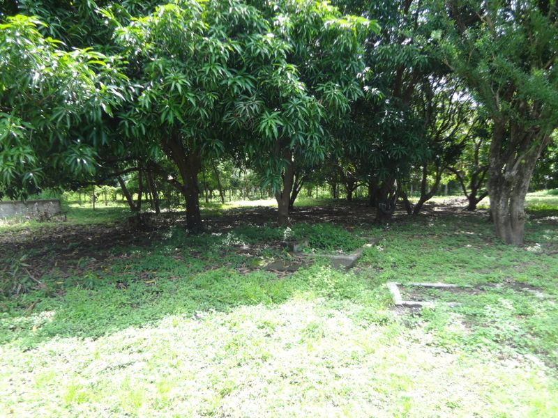 DSC00431