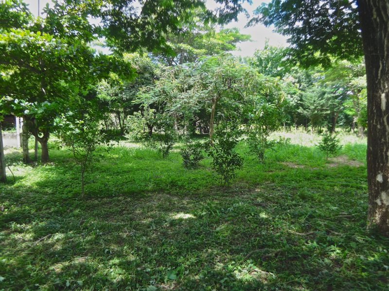 DSC00433