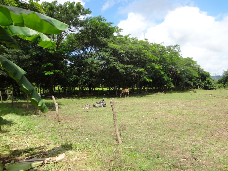 DSC00436 2