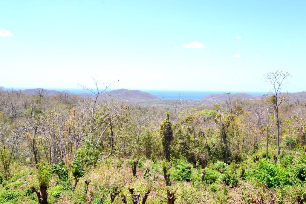 DSC 0900 2