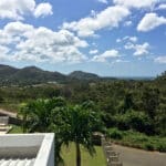 IMG 0544
