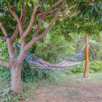 Rancho Rana 2017 24