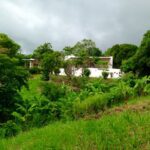 eloro 17