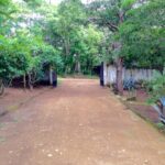 eloro 21