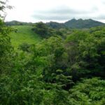 eloro 23