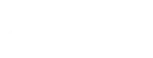 Invest Nicragua Logo
