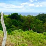 paradise42 3