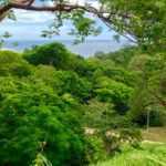 paradise42 6