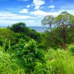 paradise42 8