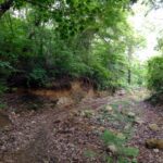 prime eco hotel site 1