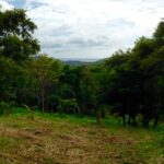 prime eco hotel site 8