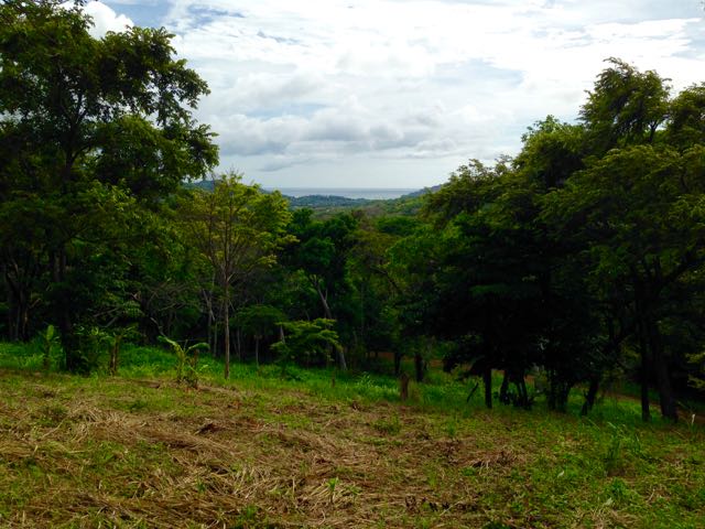 prime eco hotel site 8