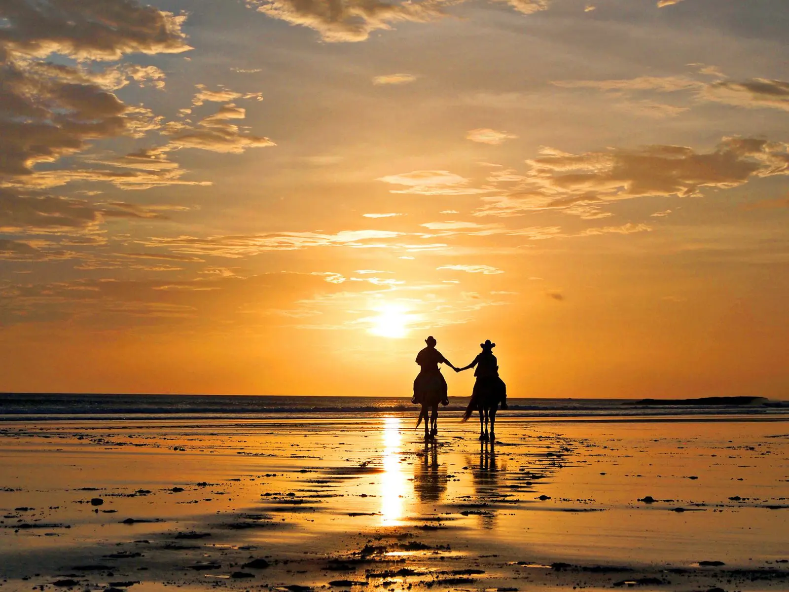 Horseback riding with sunset