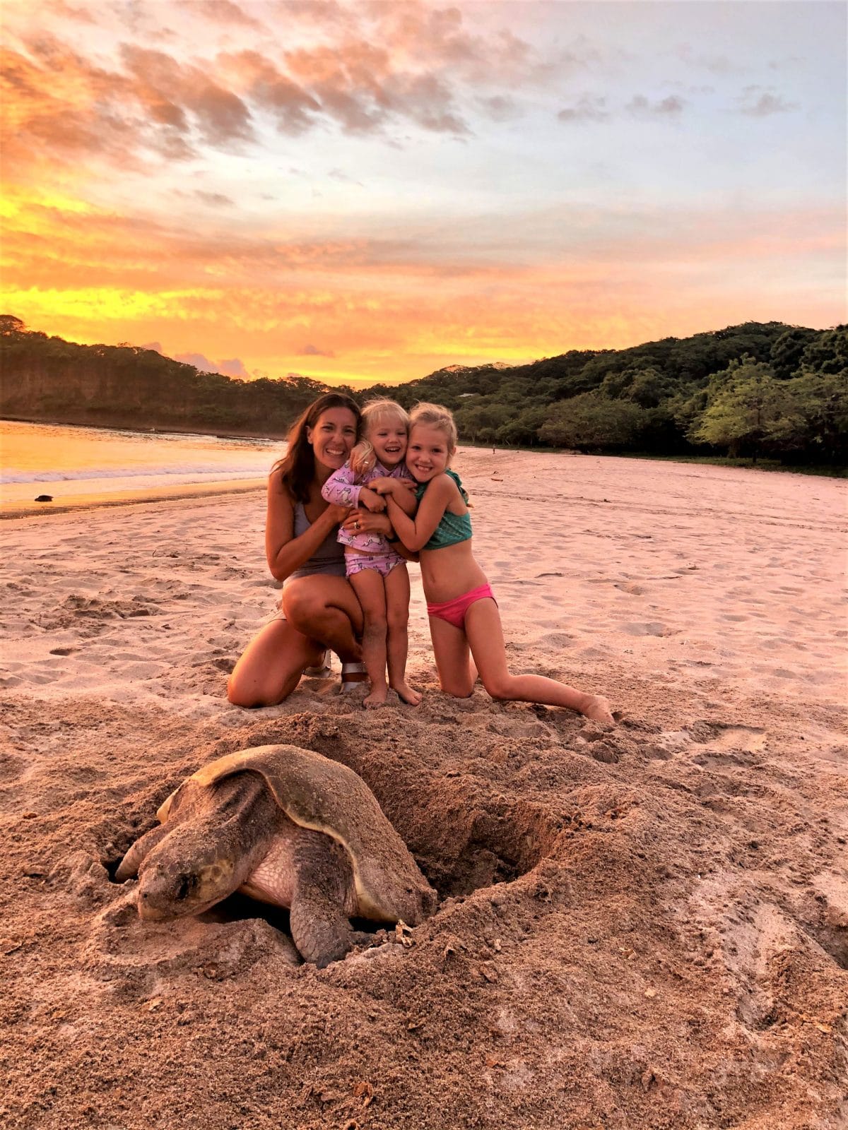 Sunset with a Turtle