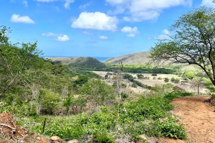 The view from Lot 9 to the Ocean.