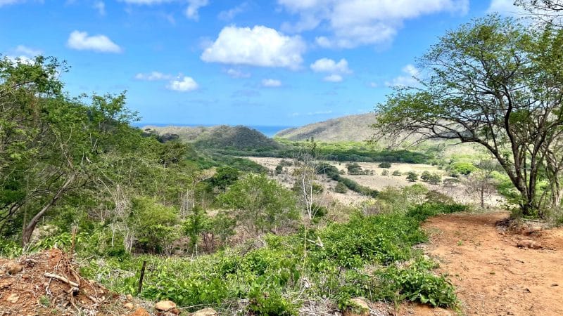 The view from Lot 9 to the Ocean.