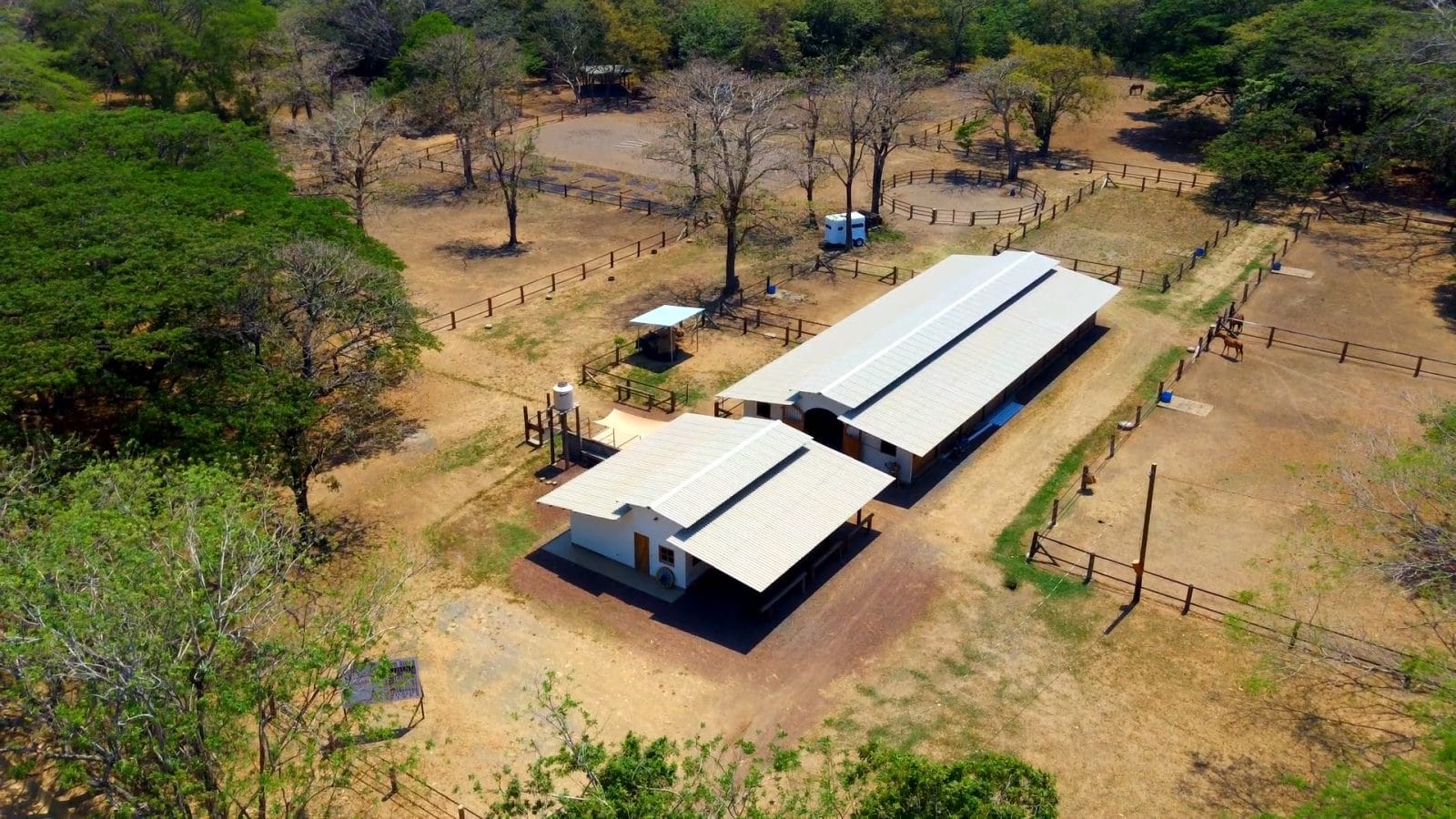 Big Sky Stables
