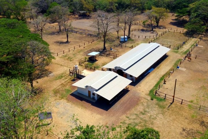 Big Sky Stables