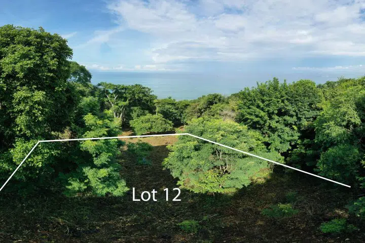 This Ocean view lot is near a surf break.