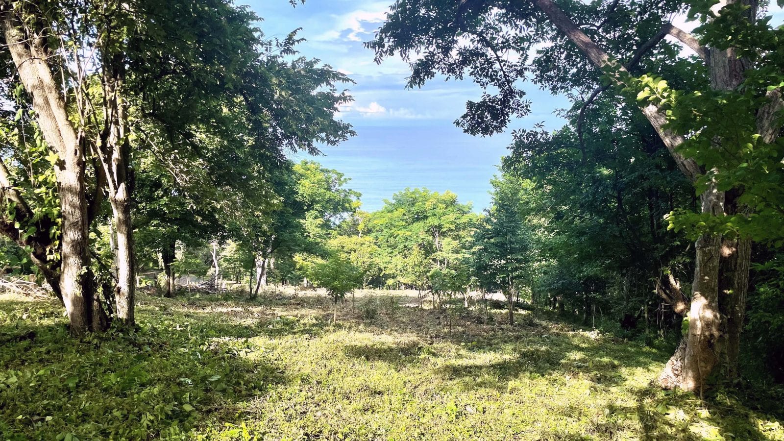 The view of the Pacific Ocean is stunning from lot 12.