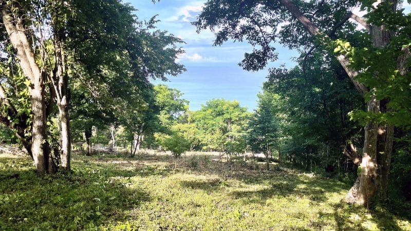 The view of the Pacific Ocean is stunning from lot 12.