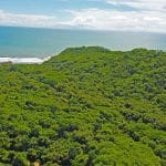 These lots are walking distance from the beach.