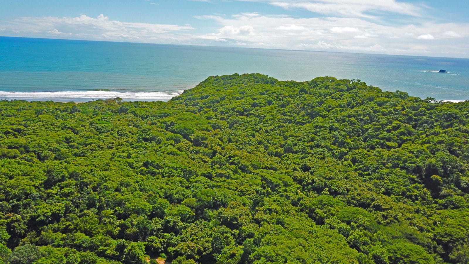 These lots are walking distance from the beach.