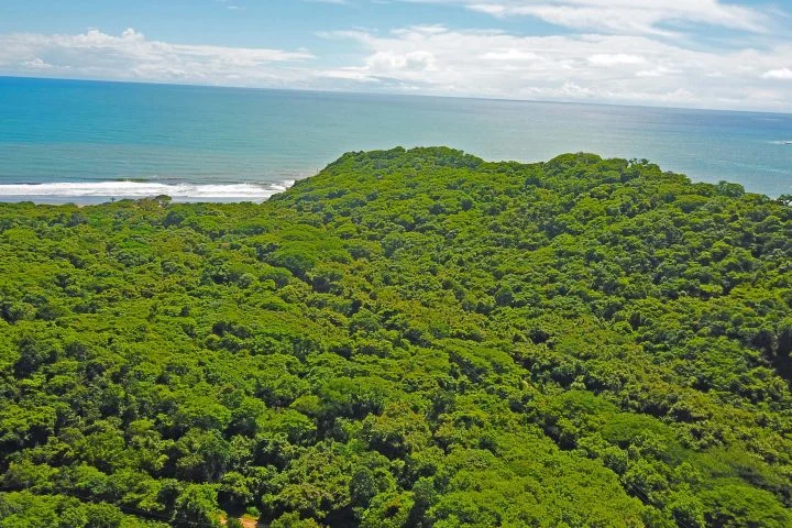 These lots are walking distance from the beach.