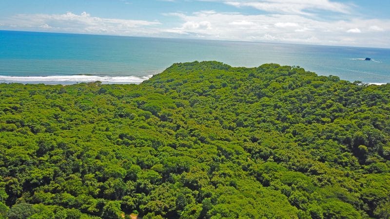 These lots are walking distance from the beach.