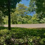 The lot is adjacent to a paved road in Costa Dulce.
