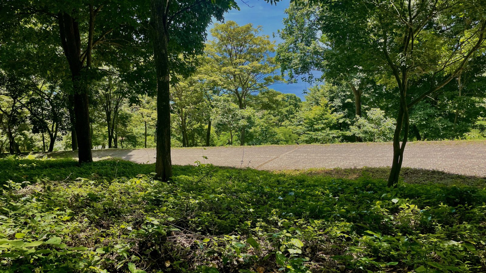 The lot is adjacent to a paved road in Costa Dulce.