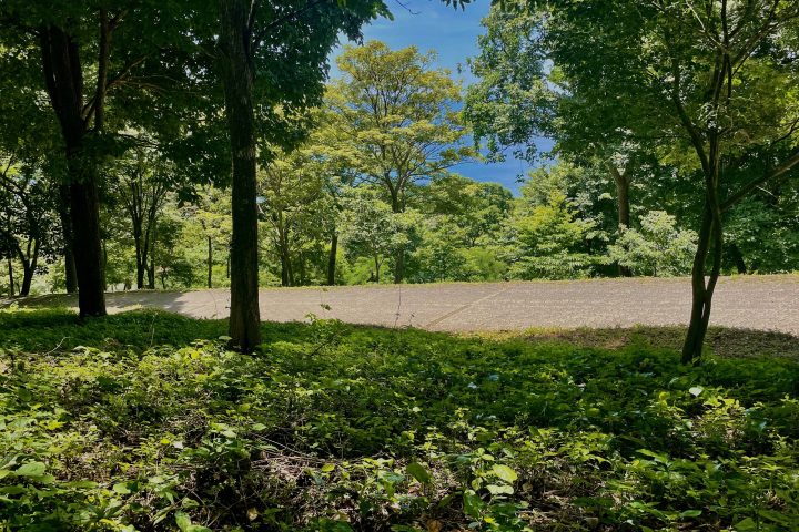 The lot is adjacent to a paved road in Costa Dulce.