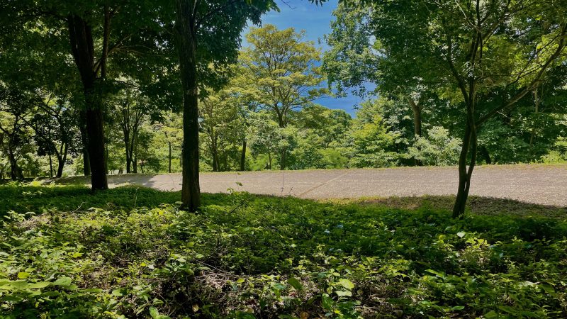 The lot is adjacent to a paved road in Costa Dulce.