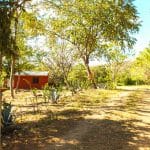 The affordable jungle oasis has a long private driveway.