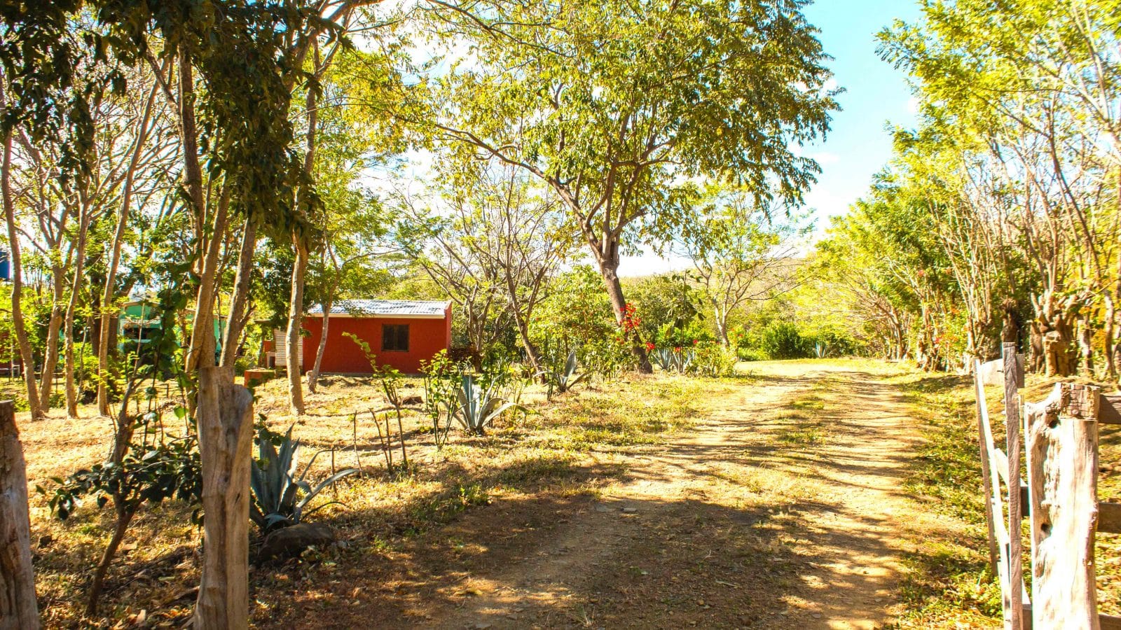 The affordable jungle oasis has a long private driveway.