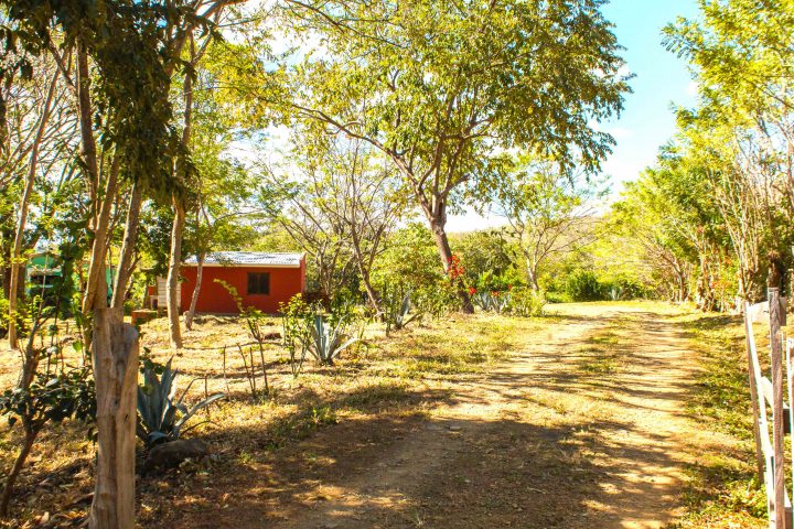 The affordable jungle oasis has a long private driveway.