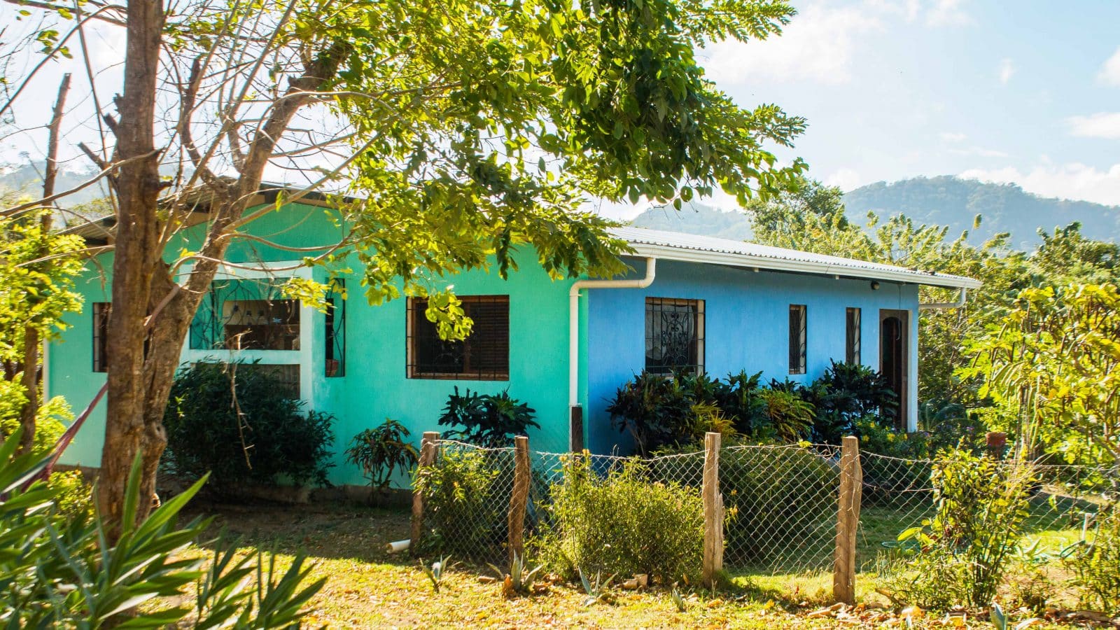 This jungle oasis has a fenced yard in addition to the other acreage.