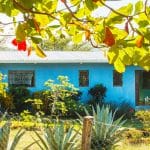 This affordable jungle oasis sits on 2.8 acres.