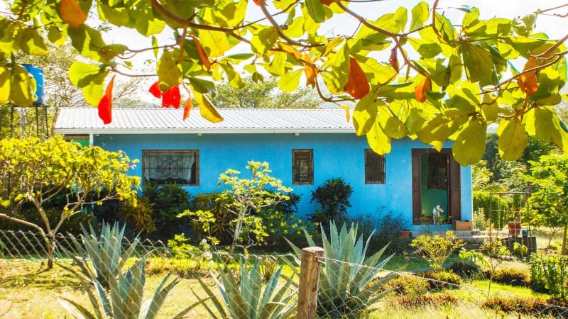 This affordable jungle oasis sits on 2.8 acres.