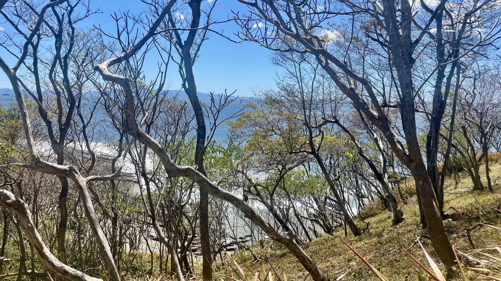 The view from a waterfront lot in Costa Dulce.