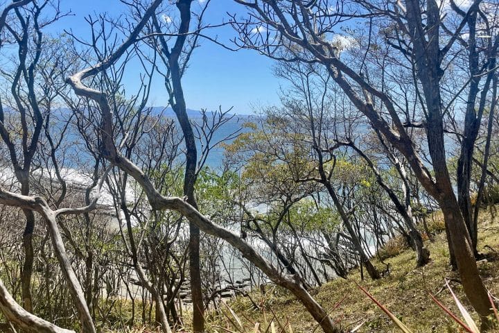 The view from a waterfront lot in Costa Dulce.