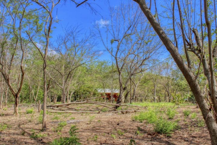 The jungle house on land sits on almost 5 acres.