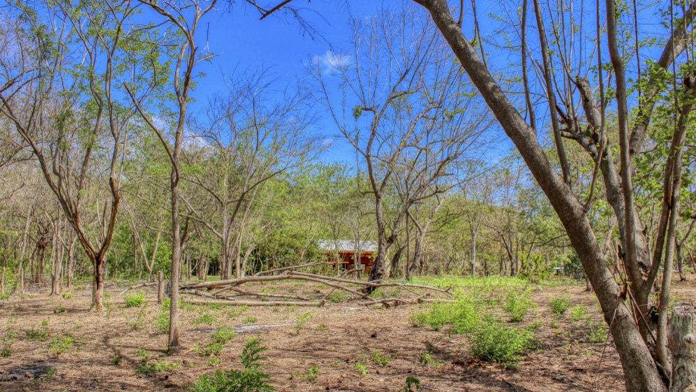 The jungle house on land sits on almost 5 acres.